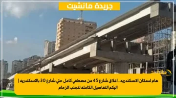 هام لسكان الإسكندرية.. إغلاق شارع 45 من مصطفى كامل حتى شارع 30 بالإسكندرية إليكم التفاصيل الكاملة لتجنب الزحام 1